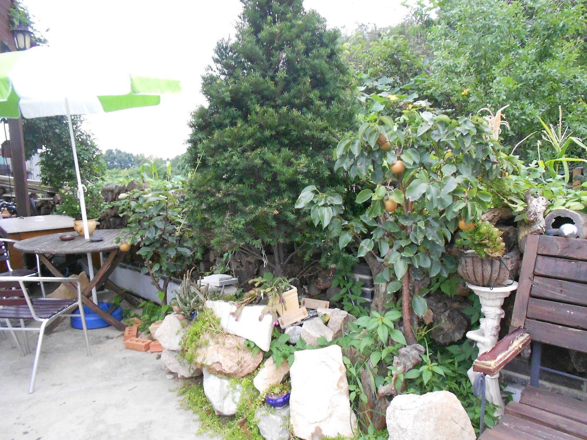 Elvis Bnb Incheon Exterior foto